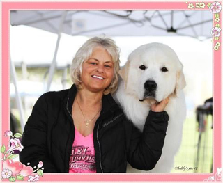 Great Pyrenees Jammies