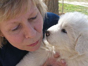 Great Pyrenees Oliver